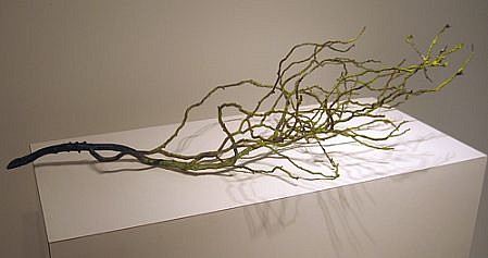 Daniel Chadwick Estate, Amalanchier Autumn Branch, 2008
bronze burnout, 9 x 32 x 19 inches
CHDD0012