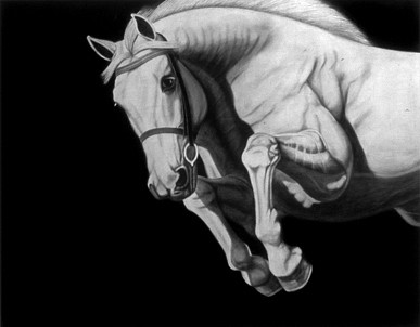 Joseph Piccillo, No. 8, 2008
Graphite on canvas, 48 x 60 inches
PICC0004