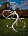 Steve Tobin, White Steelroots
2011, Steel