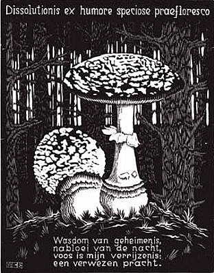 MC Escher, Emblemata Suite: Toadstool (B. 177)
Edition 257/300, 1931
Woodcut, 7 1/8 x 5 1/2 inches
ESCH0108