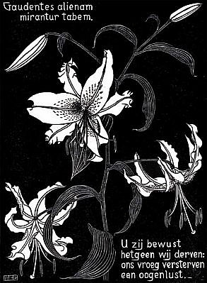 MC Escher, Flower Lillies (B.156), 1931
Woodcut, 7 1/8 x 5 3/8 inches
ESCH0032