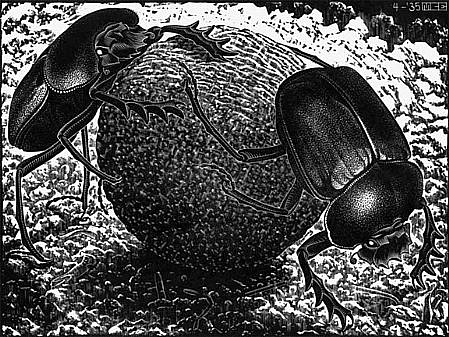 MC Escher, Scarabs (B. 273)
Signed, Edition of 12, 1935
Wood Engraving, 7 1/8 x 9 1/2 inches
printed in De Graphicus M.C. Escher by G.H. 's Gravesande, Halcyon 3-4, The Hague, 1940
ESCH0026