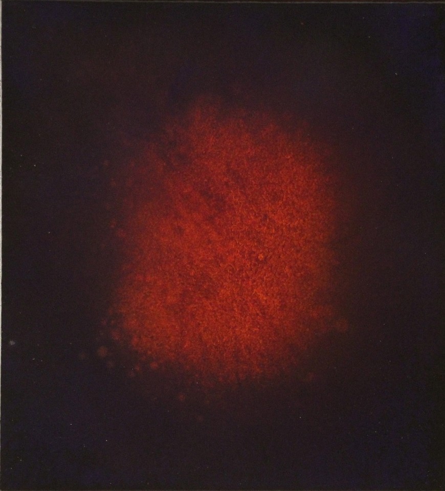 Natvar Bhavsar, SAUMYA XIII, 2012
Dry pigment and acrylic on Canvas, 23 x 21 inches
19