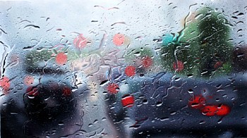 Shay Kun - Z Tortuous