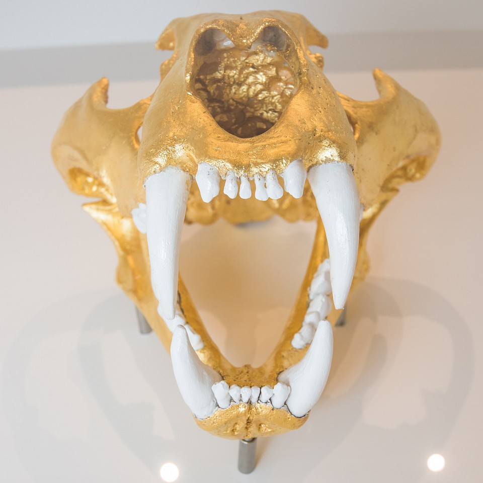 William Rosewood, Grisha: Reproduction Skull of a Siberian Tiger, 2015
Mixed media
ROSE0003