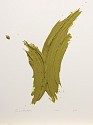 Donald Martiny, Study for Cofan
2013, polymer and pigment on paper