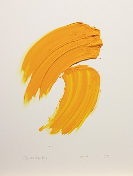 Work:&nbsp;Donald Martiny Study for Yupka