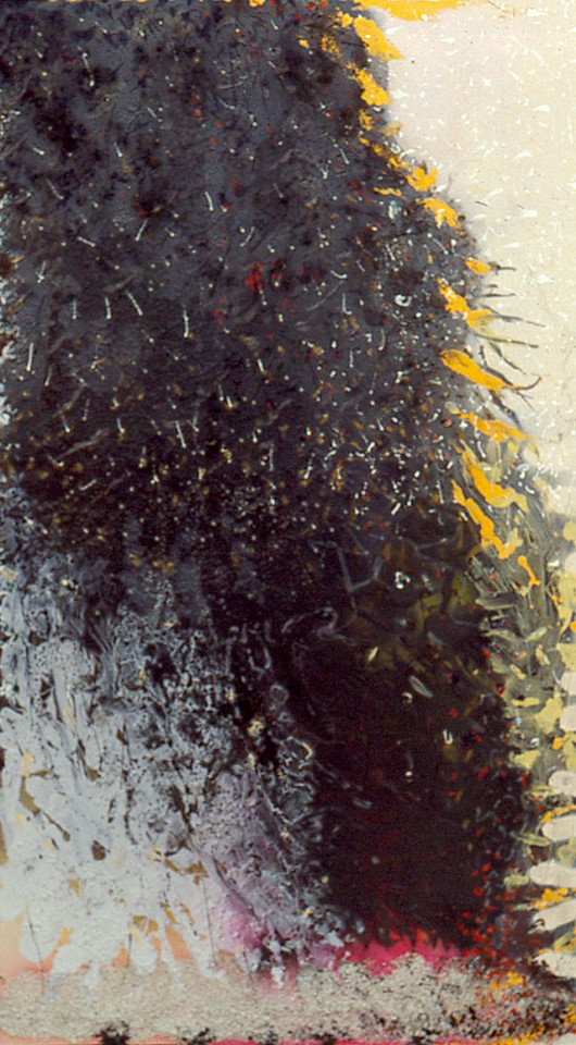 Stanley Boxer (Estate), Aplaitedsnonsglower, 1993
Mixed media on canvas, 70 x 40 in.
BOXE0067