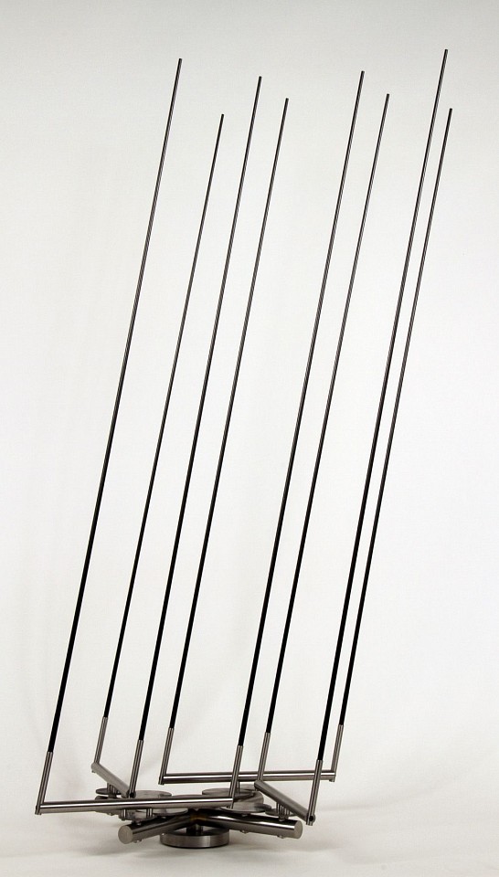 Anne Lilly, Disparate de Tontos, 2014
stainless steel, carbon fiber, 46 x 38 x 24 in.
unique
LILL0010
$32,000