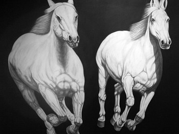 Joseph Piccillo -&nbsp;No. 8