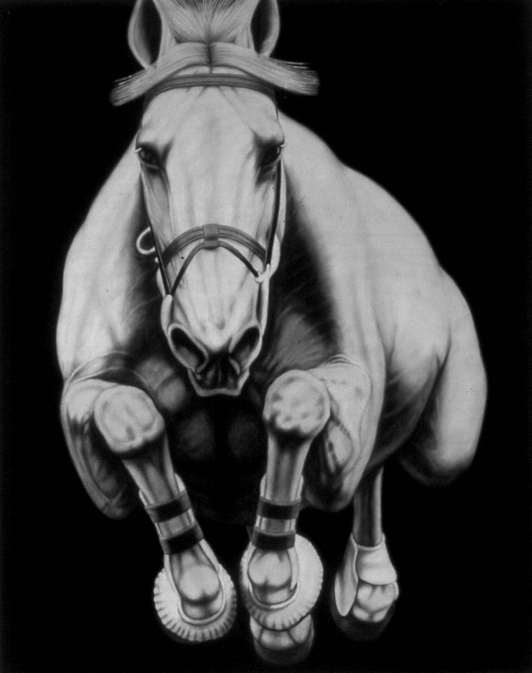 Joseph Piccillo, No. 10, 2008
Graphite on canvas, 60 x 48 in.
PICC0009