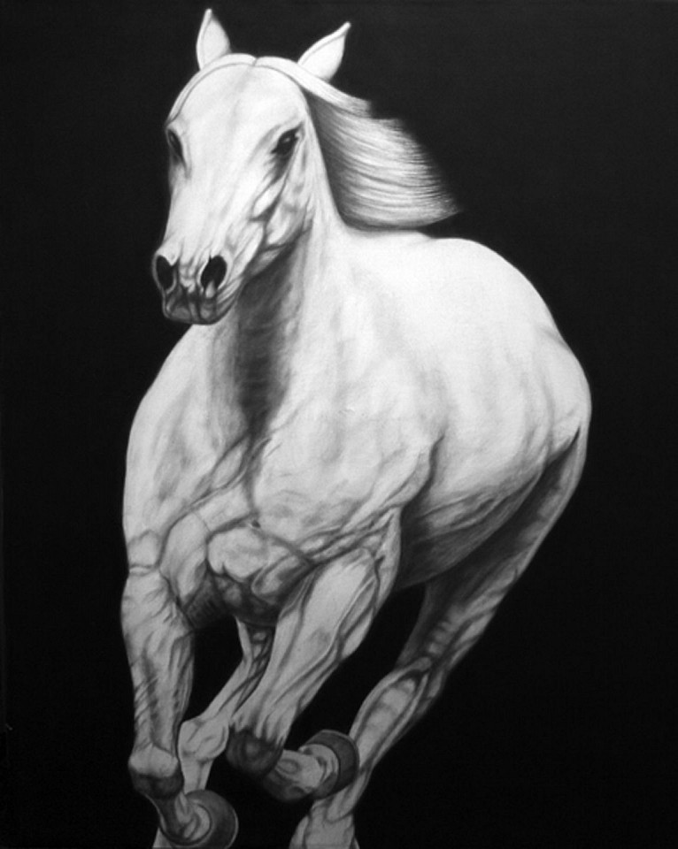 Joseph Piccillo, No. 1, 2011
Graphite on canvas, 60 x 48 in.
PICC0012