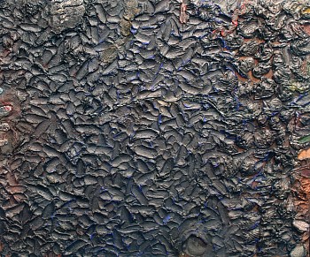 Stanley  Boxer (Estate) - Pitchedheatbrayed