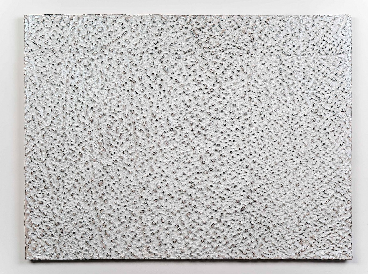 Gene Kiegel, Untitled from Another World Series, 2017
Encaustic on Board, 36 x 48 in.
silver on white
KIEG00011