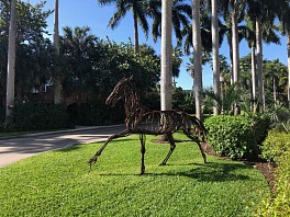 Press: Wendy Klemperer Running Horse at Golf Course, December 28, 2022