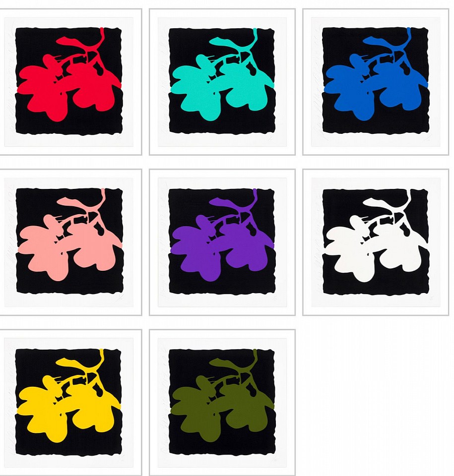 Donald Sultan, Z Portfolio - LANTERN FLOWERS, MAY 10, 2012, edition of 50, 2012
Silkscreen with enamel inks and flocking on 2-ply museum board, 24 x 24 inches each (unframed)
SULT00095