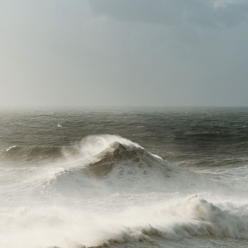 Alessandro Puccinelli - Z Mare 405