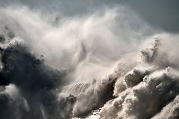 Alessandro Puccinelli - Z Mare 431