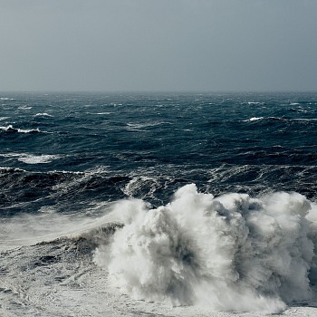 Alessandro Puccinelli - Z Mare 355