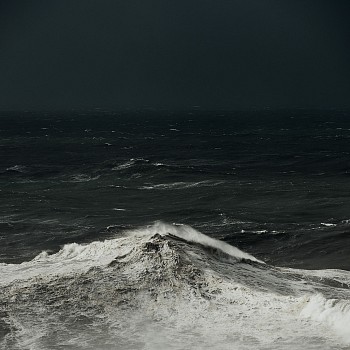 Alessandro Puccinelli - Z Mare 398