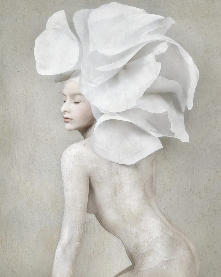 Isabelle van Zeijl, Z Phoenix, edition of 8+2 AP, 2021
C-Print on Dibond, 50 3/8 x 40 1/2 in.
ZEIJ00040
$12,000