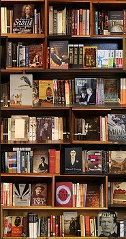 Max-Steven Grossman - Z Literature V