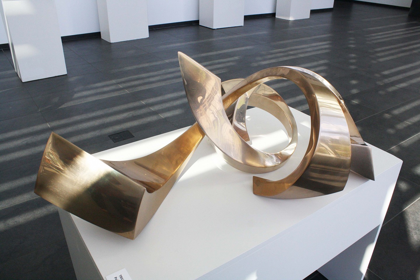 Gino Miles, Z Triumph, 2021
Polished bronze, 28 x 40 x 15 in.
MILE00042
$50,000