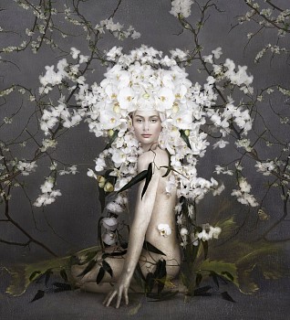 Work: Isabelle van Zeijl Rebirth