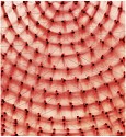 Ross Bleckner, Z Dome (red); edition of 40
2017, Archival pigment inks on Crane Museo Max 365 gsm fine art paper