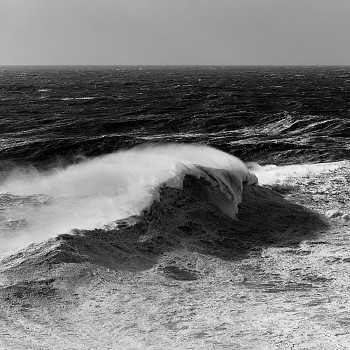 Alessandro Puccinelli - Z Mare 467