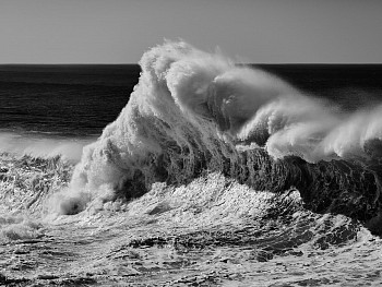 Alessandro Puccinelli - Z Mare 477