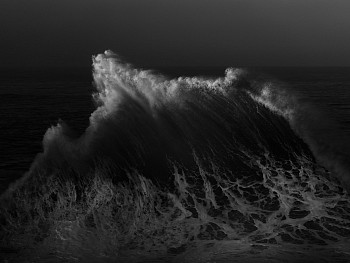 Alessandro Puccinelli - Z Mare 478