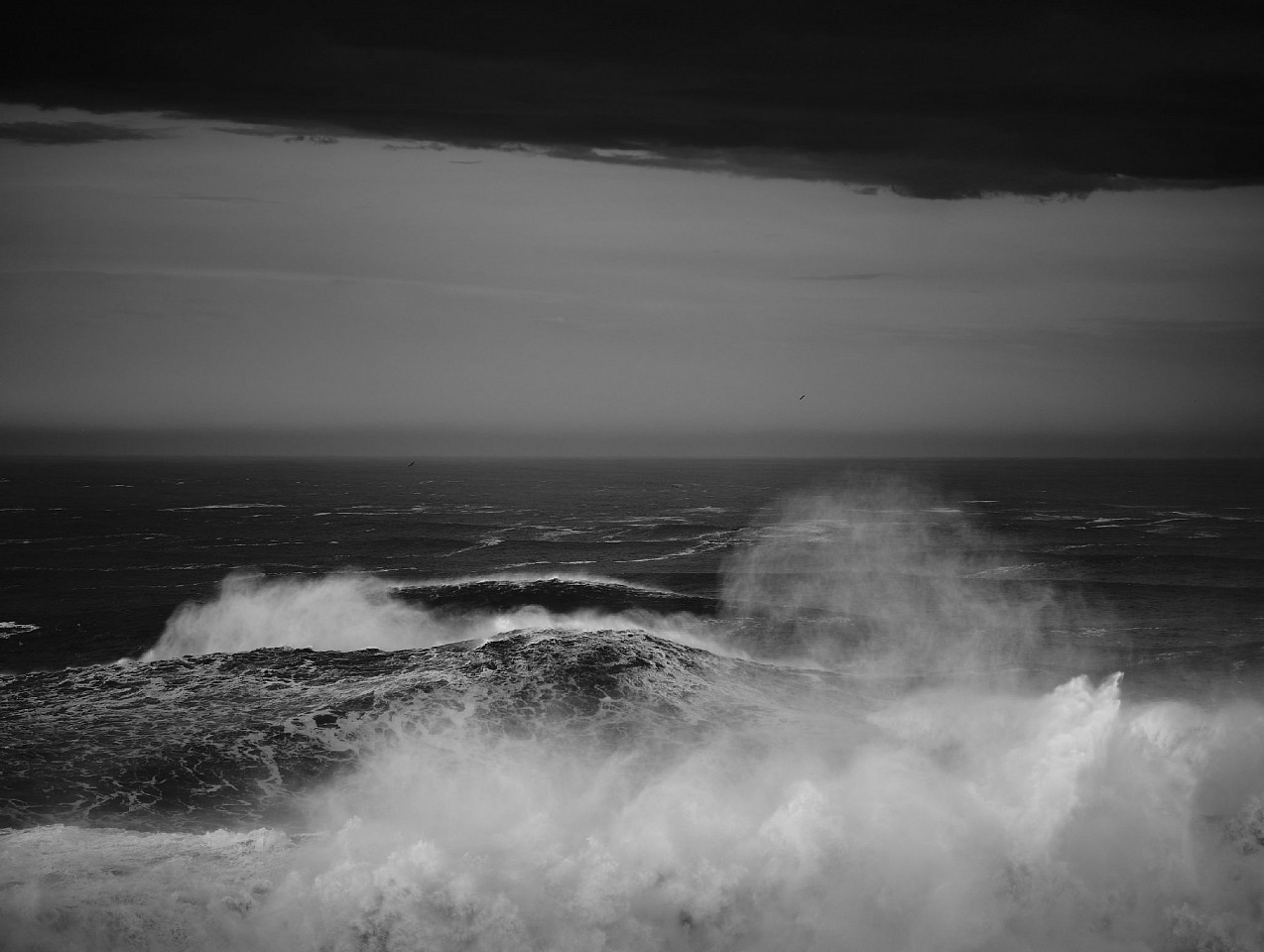 Alessandro Puccinelli, Z Mare 483, 2022
Archival pigment print, [47.25 x 39 inches; ed. 10, $3,500]  [63 x 47.25 inches; ed. 5, $6,000]  [78.75 x 59 inches; ed. 3, $9,000]
PUCI00068