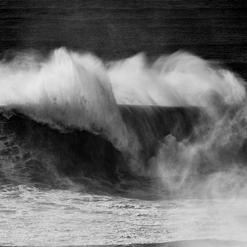 Alessandro Puccinelli - Z Mare 496