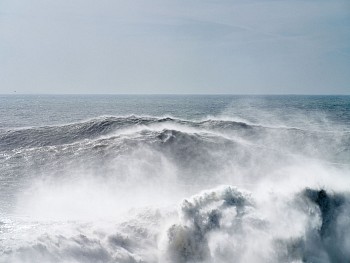 Alessandro Puccinelli - Z Mare 503