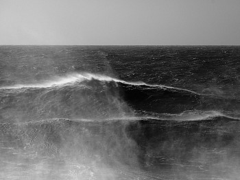 Alessandro Puccinelli - Z Mare 522