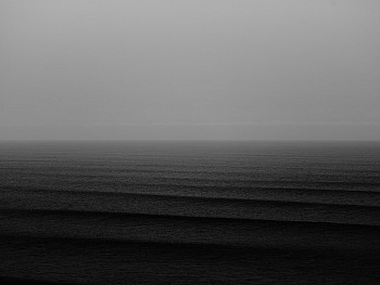 Alessandro Puccinelli - Z Mare 568