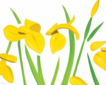 Alex Katz - Z Yellow Flags on White; edition of 100