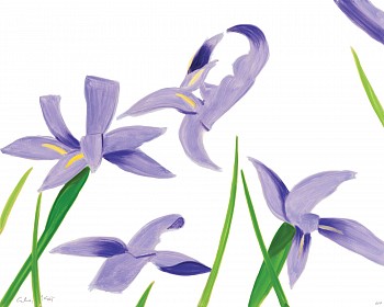 Alex Katz - Z Purple Irises on White; edition of 100