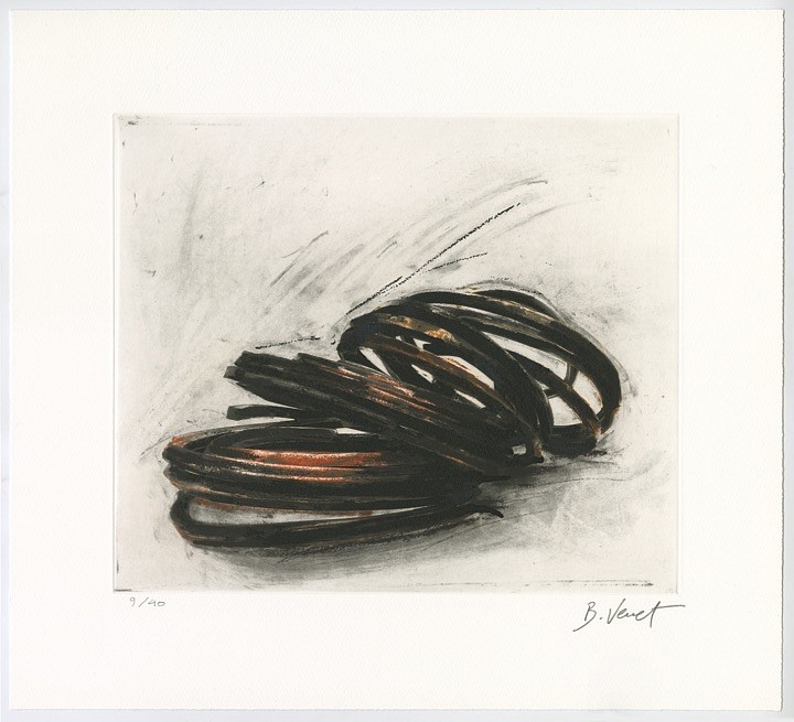 Bernar Venet, Effrondrement Lignes Indéterminées (Print 5, from the suite of 6), edition of 40, 2022
Etching, 19 x 21 in.
VENE00016