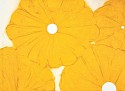 Donald Sultan, Z Four Yellow Poppies, April 24, 2024; edition of 35
2024, Archival pigment ink on Innova Etching Cotton Rag 315 gsm fine art paper