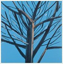 Alex Katz, Z Tree 8; edition of 60
2022, Woodut and lithograph