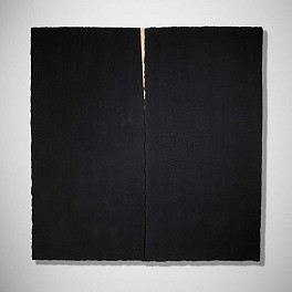 Richard Serra Biography