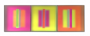 C Dutch - Edible Light