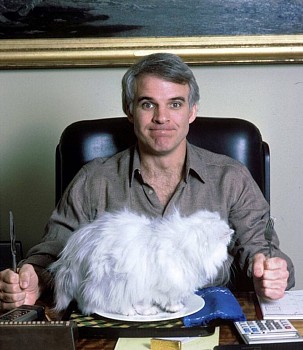 Harry Benson -&nbsp;Z Steve Martin