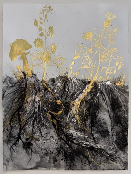 Work:&nbsp;Jill Hotchkiss Earthbound