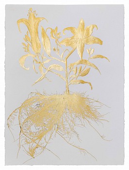 Work:&nbsp;Jill Hotchkiss Gilded Lilly 03